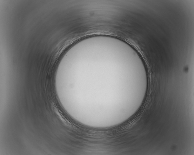 X0000116460205200912090935