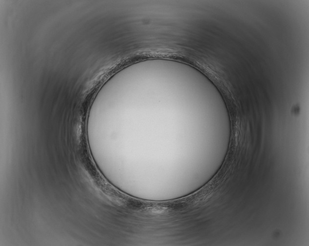X0000116460206200912090935