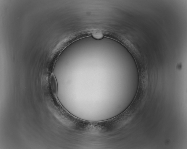 X0000116460207200912090935