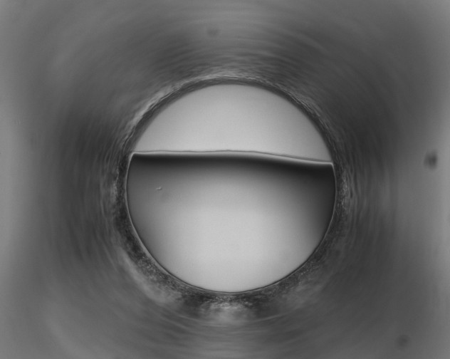X0000116460208200912090935