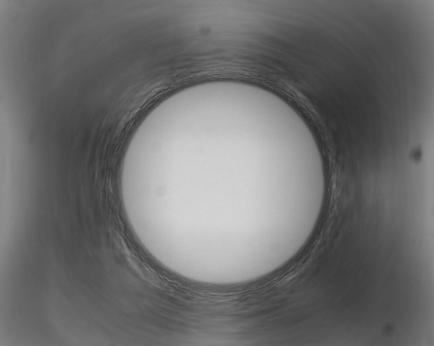 X0000116460209200912090935