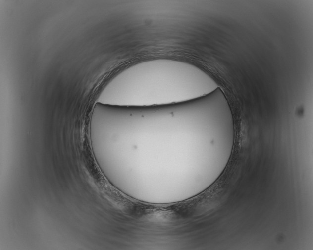 X0000116460210200912090935