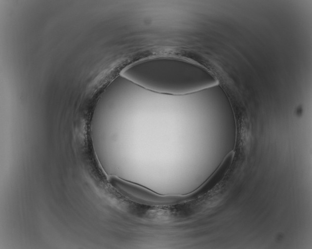 X0000116460211200912090935