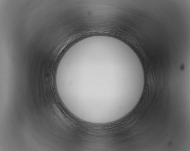 X0000116460212200912090935