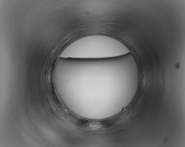 X0000116460214200912090935