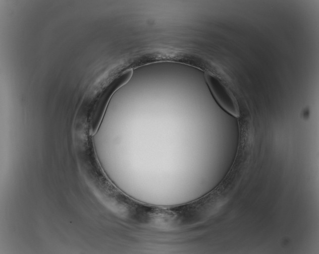 X0000116460215200912090935