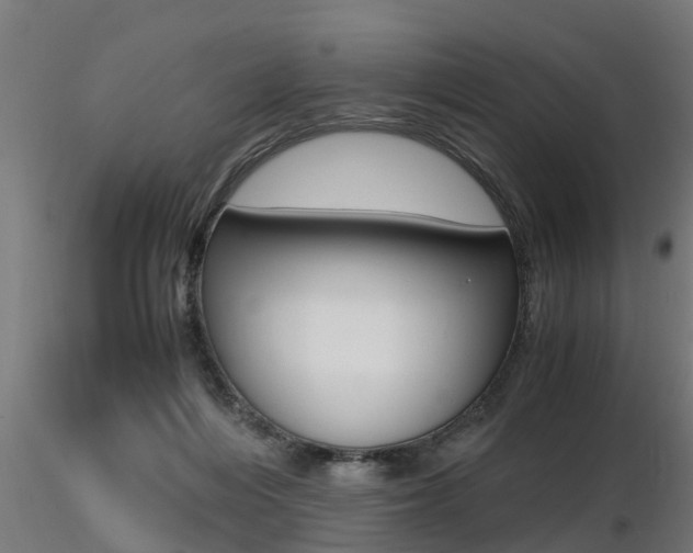 X0000116460216200912090935