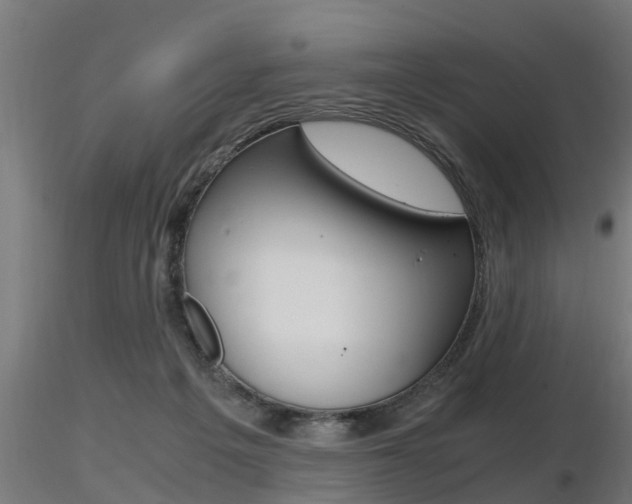 X0000116460217200912090935
