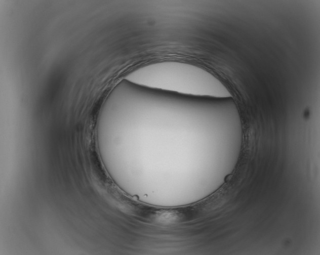 X0000116460218200912090935
