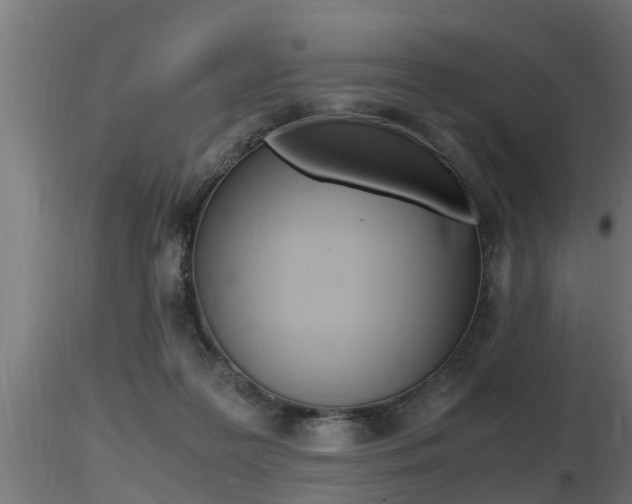X0000116460219200912090935