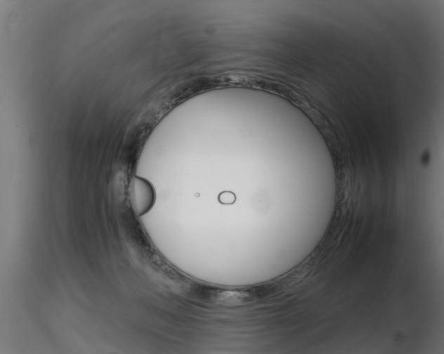 X0000116460222200912090935