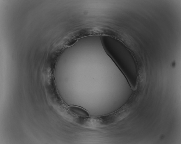 X0000116460223200912090935