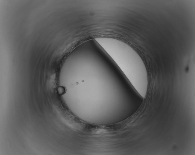 X0000116460224200912090934