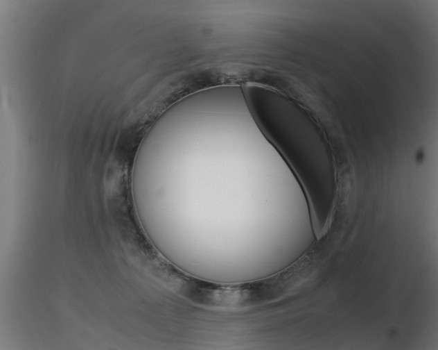 X0000116460225200912090934