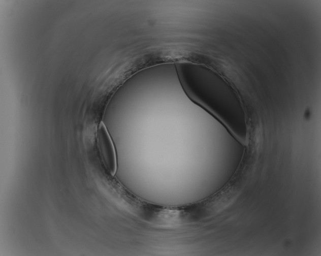 X0000116460227200912090934