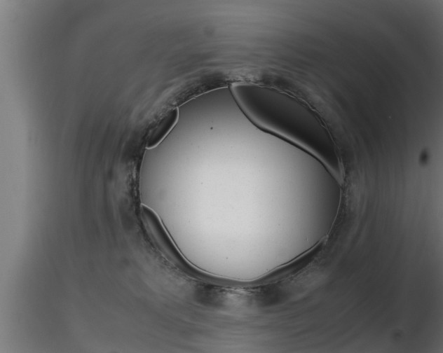 X0000116460229200912090934