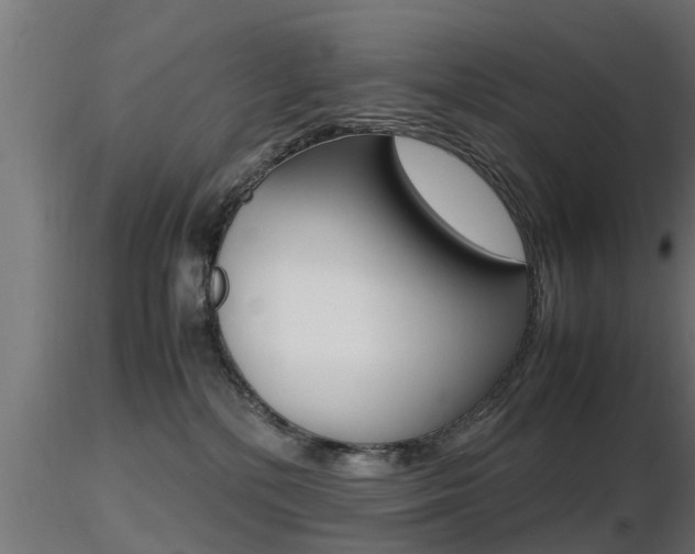 X0000116460232200912090934