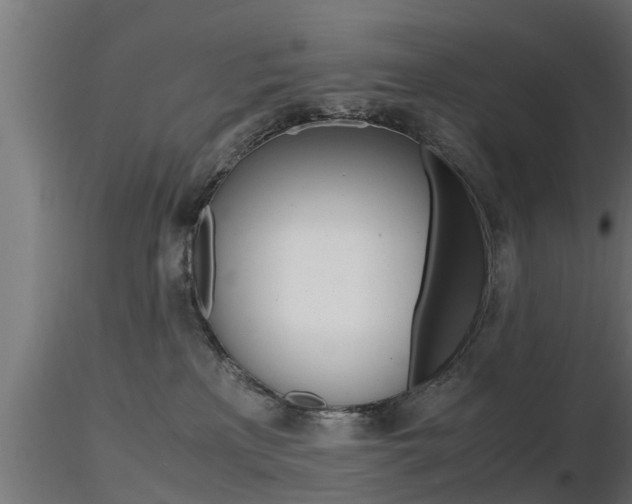 X0000116460233200912090934