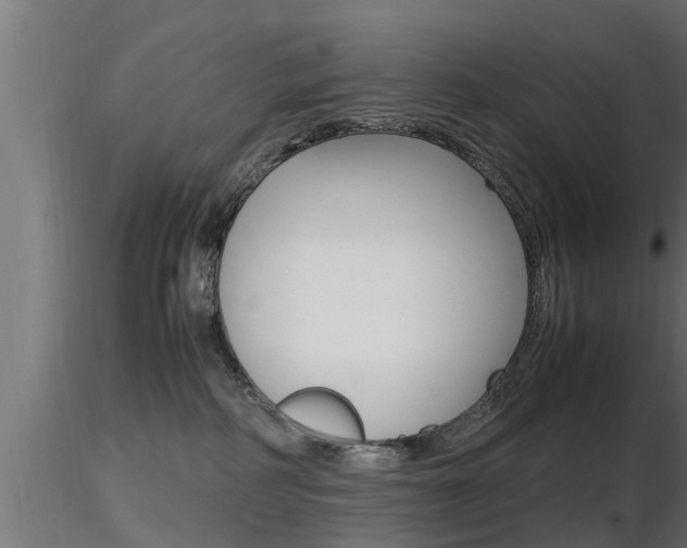 X0000116460234200912090934