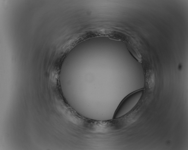 X0000116460235200912090934