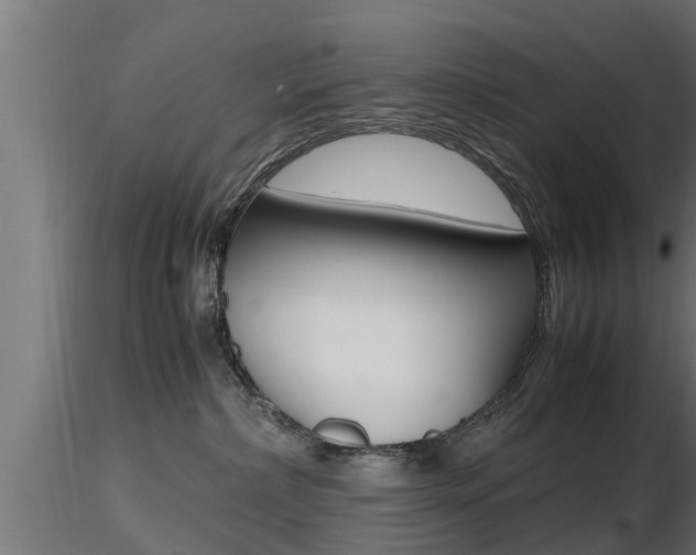 X0000116460236200912090934