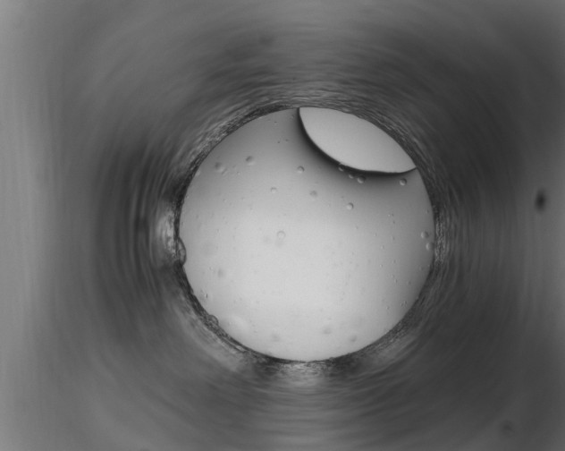 X0000116460238200912090934