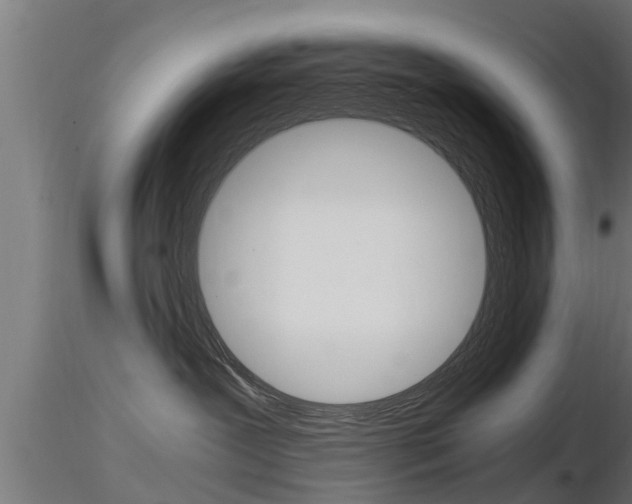 X0000116460239200912090934