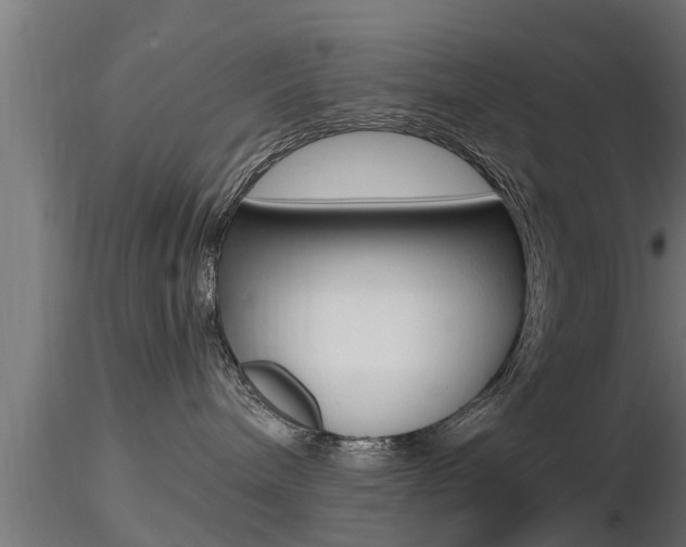 X0000116460240200912090934