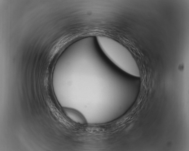 X0000116460242200912090933