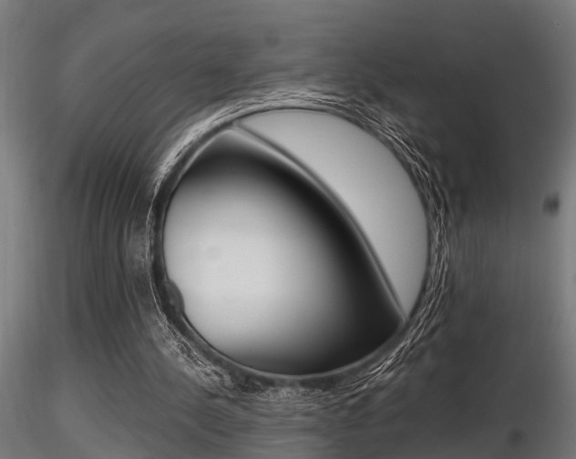 X0000116460244200912090934