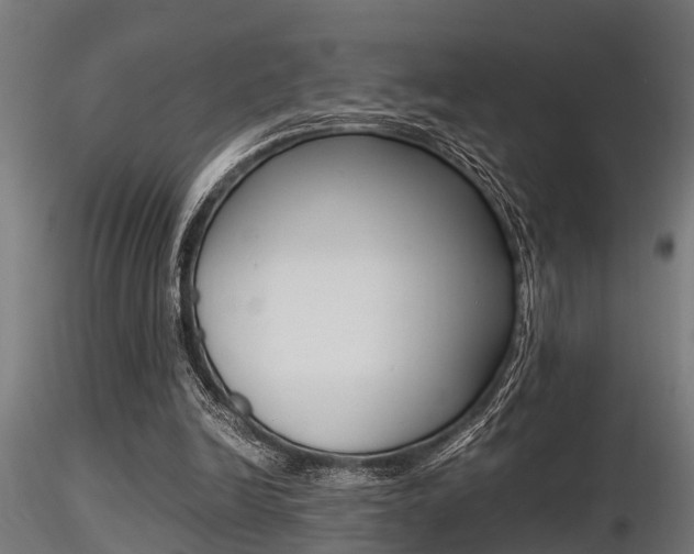 X0000116460246200912090934