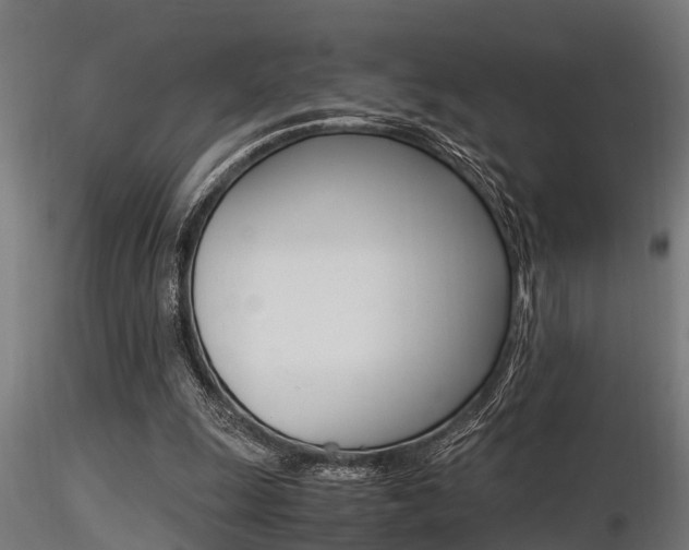 X0000116460247200912090934