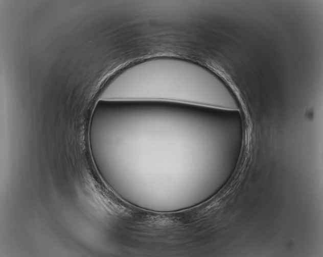 X0000116460249200912090934