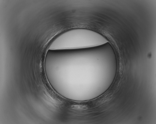 X0000116460251200912090934