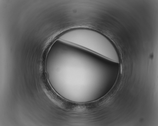 X0000116460252200912090934