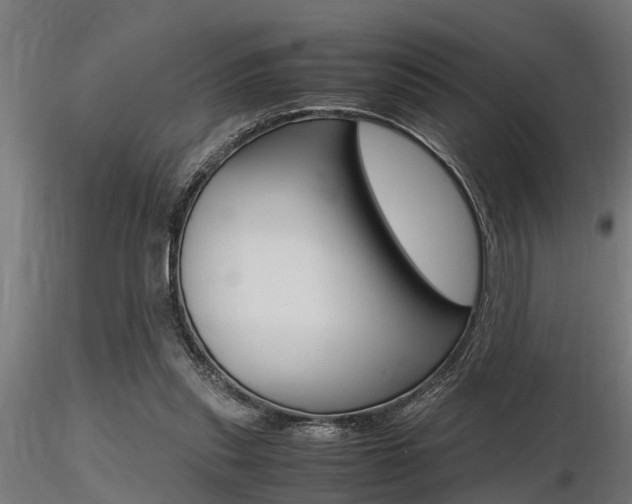 X0000116460253200912090934