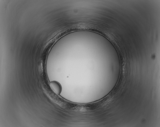 X0000116460254200912090934