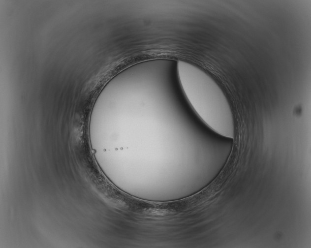X0000116460255200912090934