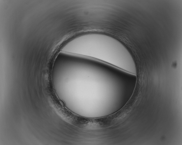 X0000116460256200912090934