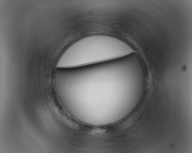 X0000116460257200912090934