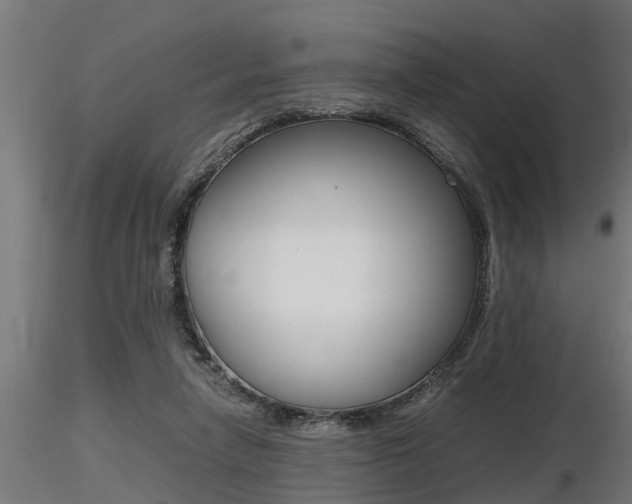 X0000116460258200912090934