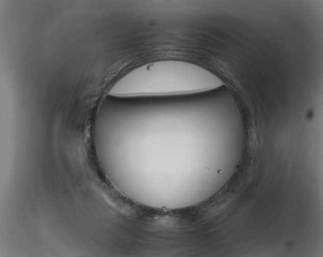 X0000116460259200912090934