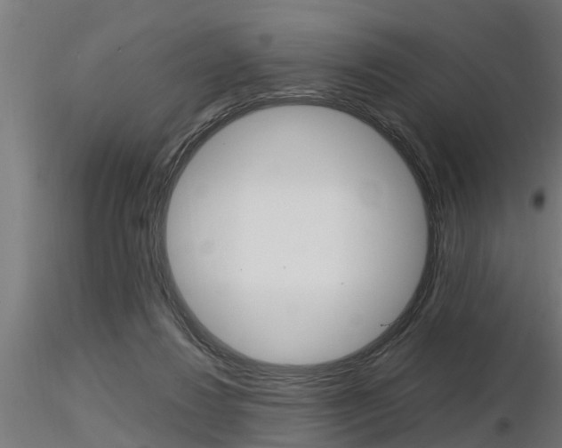 X0000116460260200912090934