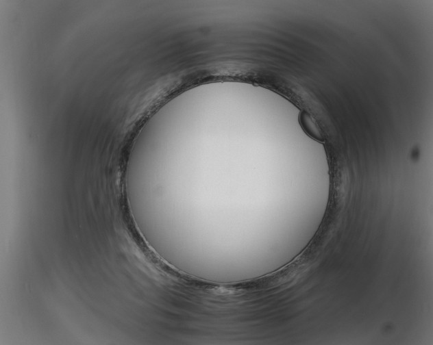 X0000116460261200912090934