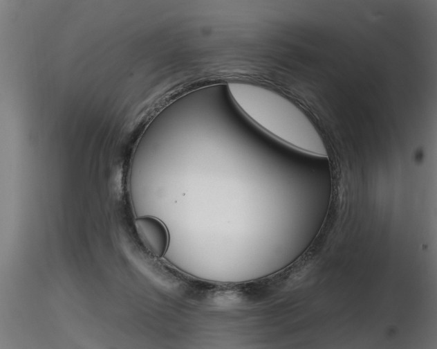 X0000116460262200912090934