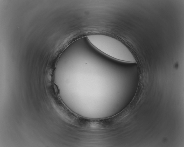 X0000116460264200912090934