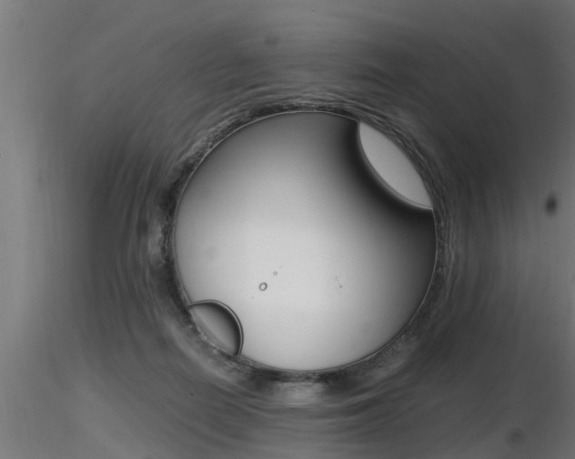 X0000116460266200912090934