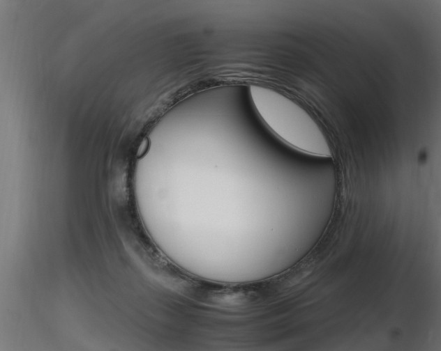 X0000116460267200912090934