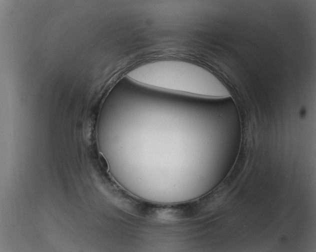 X0000116460268200912090934