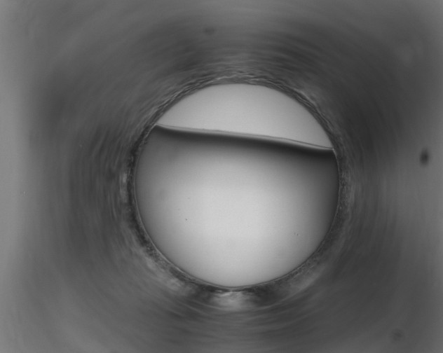 X0000116460269200912090934